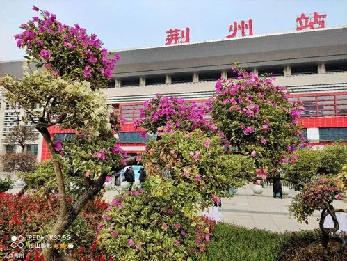 广州到荆州货运公司_广州到荆州货运_广州至荆州物流专线